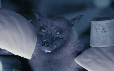 ����������_(d��)���̌W(xu��)��˼