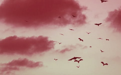 ���꼉(j��)�£�����������_(d��)���̌W(xu��)�O(sh��)Ӌ(j��)