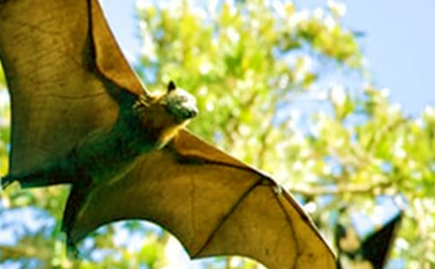 ׽��������