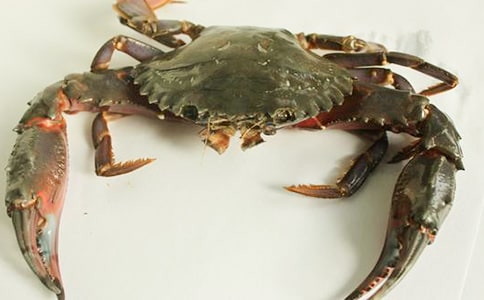 �����á��з�^����ӛ4ƪ