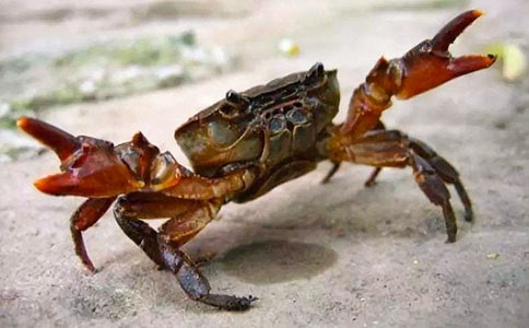 �з�^����ӛ���ąR����ƪ