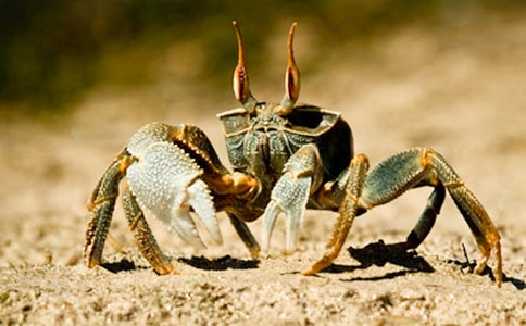 �з�^����ӛ�R��15ƪ