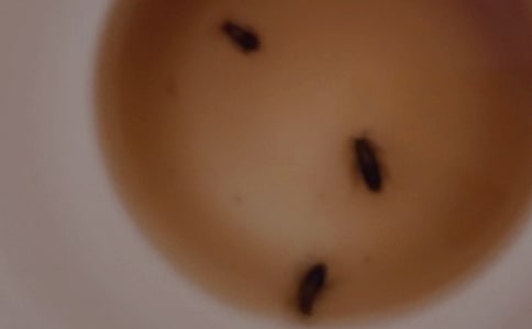 �P(gu��n)���������