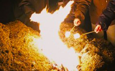 篝火晚會作文400字