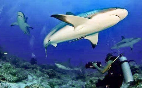 ���o(h��)���~������5ƪ