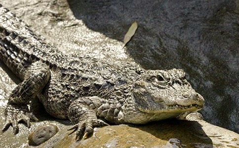 �а��Z���{�~���½̰�