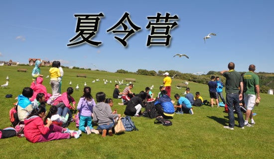 ����I�o�����ώ������