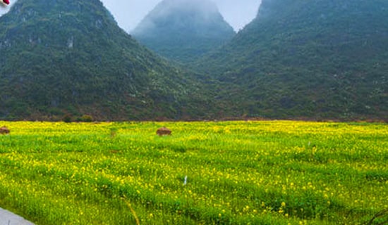 ��W(xu��)���༉���λ�ӷ�����ͨ��13ƪ��